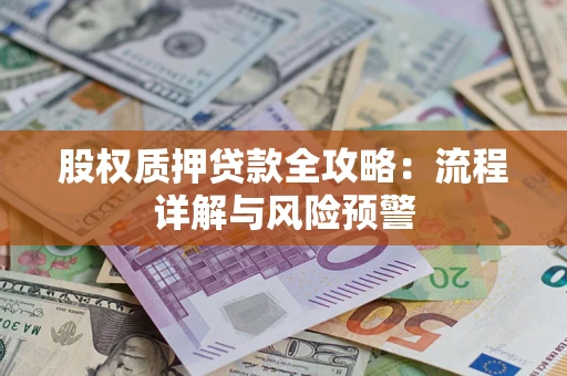 北京股权质押贷款全攻略：流程详解与风险预警
