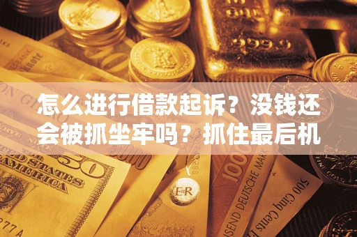 北京怎么进行借款起诉？没钱还会被抓坐牢吗？抓住最后机会！