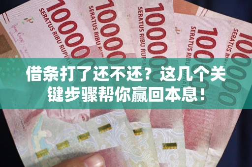 北京借条打了还不还？这几个关键步骤帮你赢回本息！