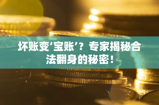 北京坏账变‘宝账’？专家揭秘合法翻身的秘密！