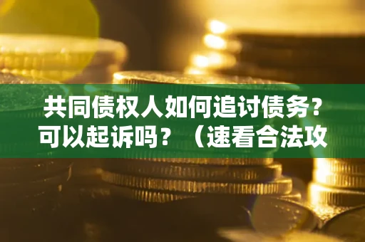 北京共同债权人如何追讨债务？可以起诉吗？（速看合法攻略）